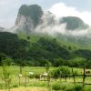 Seckler Rock, Rimetea, View from our Yard