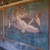 Venus Fresco - Pompeii