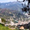Terraces - Amalfi Coast