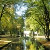 Hofgarten Hofgarten