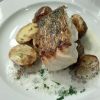 Pike perch