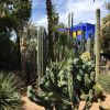 Jardin Majorelle