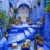 Blue City Garden