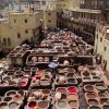 Fes Tannery