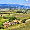 Provence Landscape