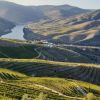 Terraced vineyards, Douro Valley Terraced vineyards, Douro Valley
