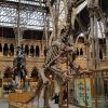Oxford Museum of Natural History Oxford Museum of Natural History