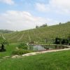 View from the agriturismo winery